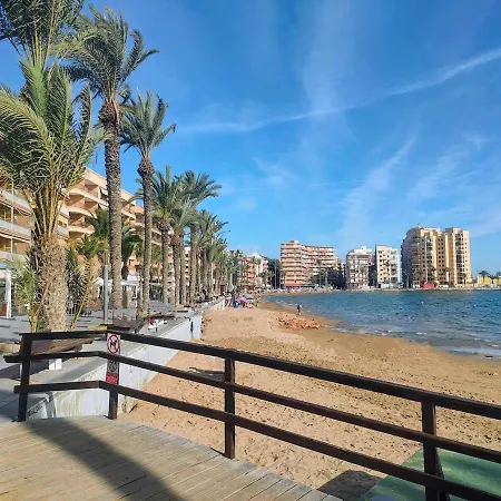 1 Line Locos Hola Costa Blanca Lägenhet Torrevieja