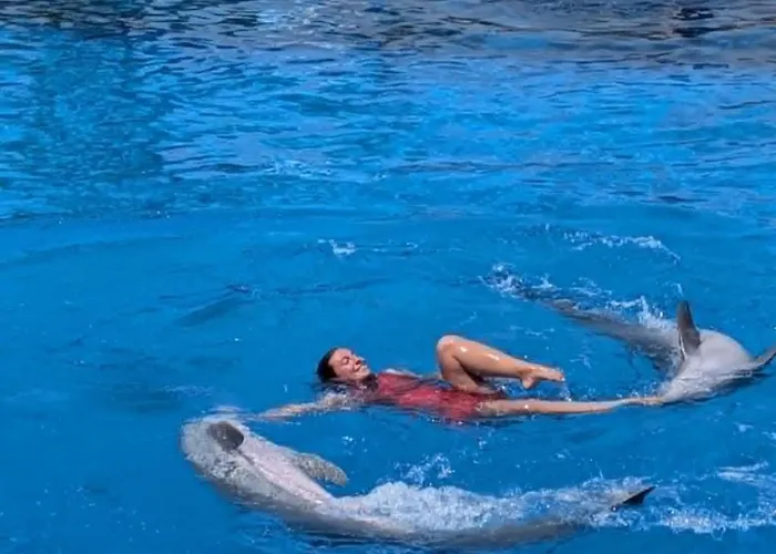 公寓 1 Line Locos Hola Costa Blanca 托雷维耶哈